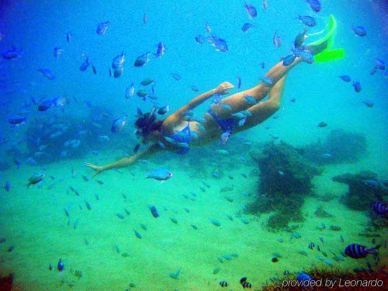 Tavewa Island Coralview Island Resort מראה חיצוני תמונה