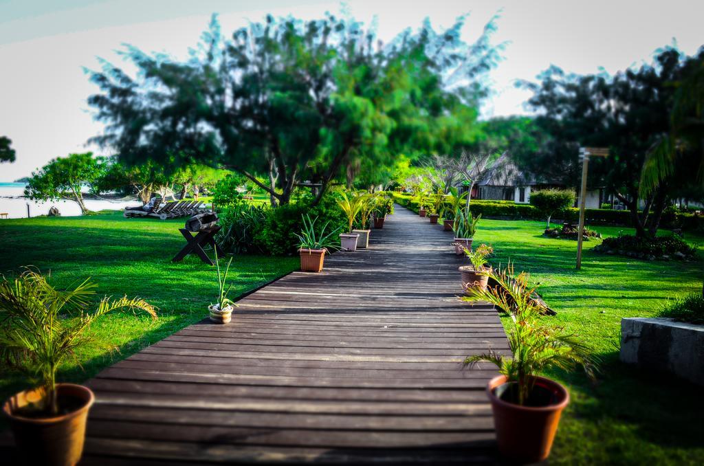 Tavewa Island Coralview Island Resort מראה חיצוני תמונה