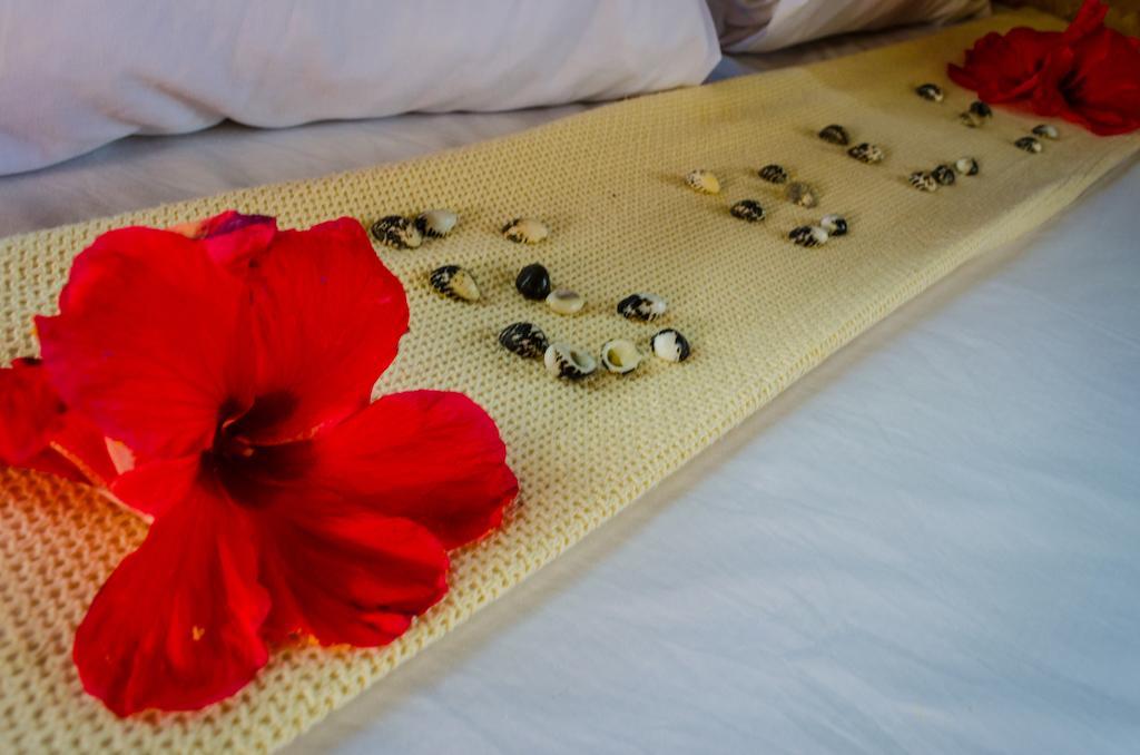 Tavewa Island Coralview Island Resort מראה חיצוני תמונה
